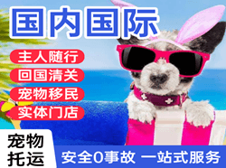 湘西边城机场托运国际宠物托运 【国